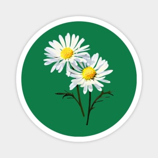 A Couple of Daisies Magnet